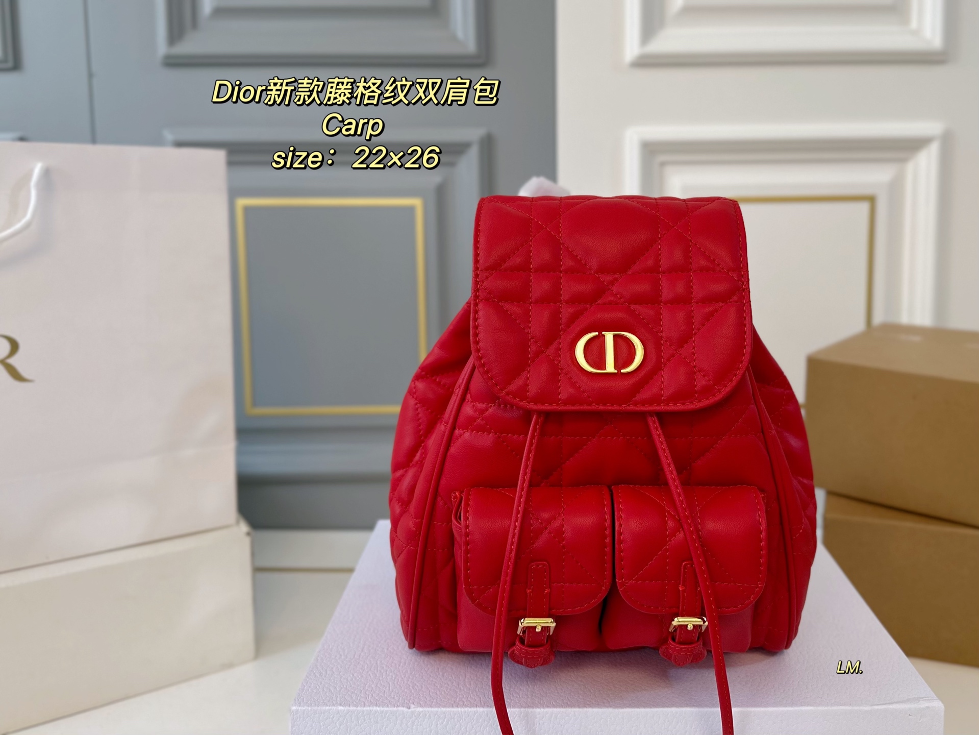 DIOR bag 147